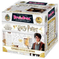 BrainBox - Harry Potter društvena igra