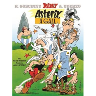 Móra: Asterix 1. - Asterix Galac képregény