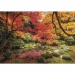 Jesen u parku 1500 komada HQC puzzle 84,5x59,5cm - Clementoni