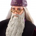 Harry Potter i Odaja Tajni: Profesor Dumbledore lutka - Mattel