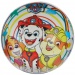 Paw Patrol BioBall gumena lopta 23cm